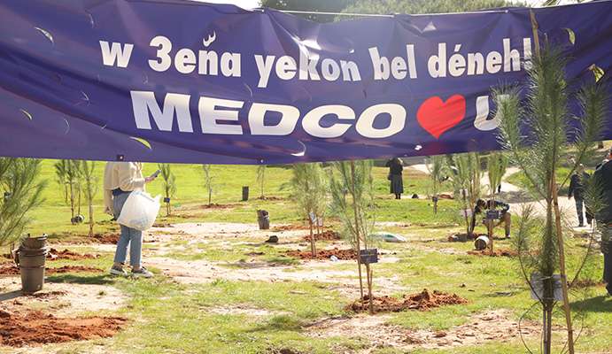 MEDCO PLANTED 217 PINE TREES